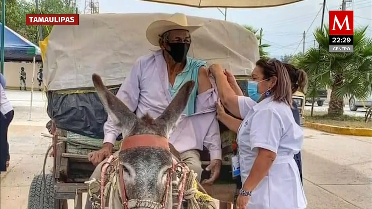 Esta es la historia detrás de la imagen de Don Chalo que acudió en burro a vacunarse