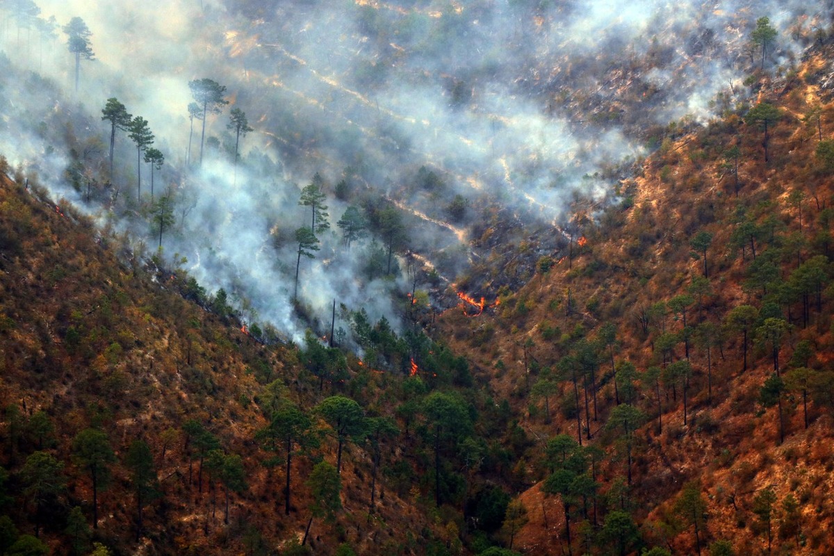 Incendio en sierra de Santiago. Foto: Leonel Rocha