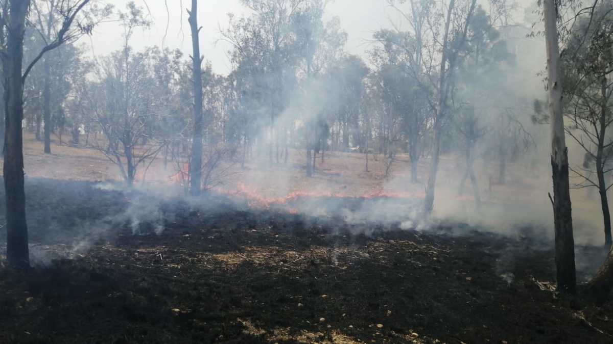 Los incendios se registraron en Bugambilias y Las Cañadas