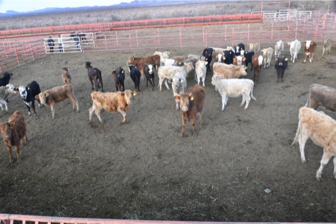 El Rancho Santa Rita, ubicado en Camargo, es una de las mayores propiedades que se le han decomisado al ex gobernador
