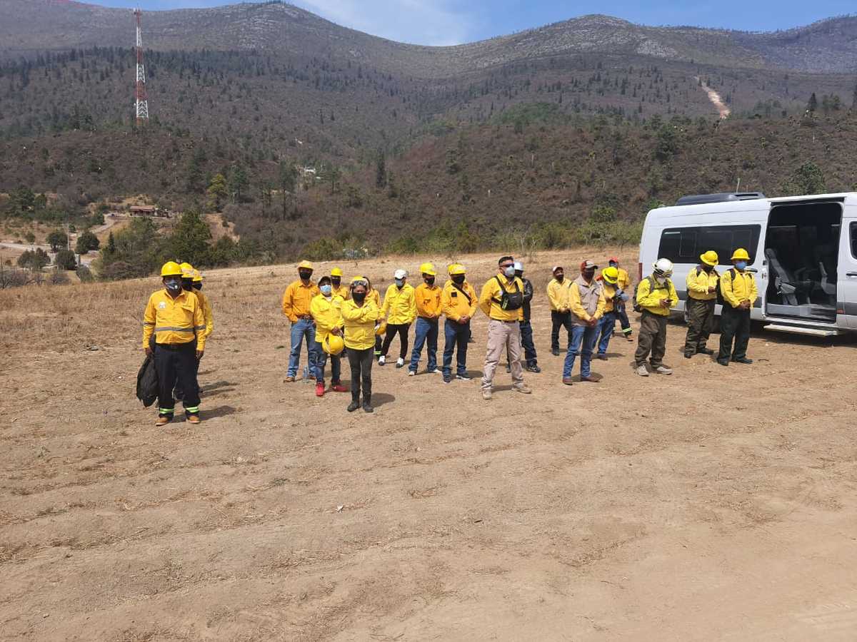 Los brigadistas ya llevan 15 días de trabajo en la zona de La Pinalosa. (Cortesía Twitter)