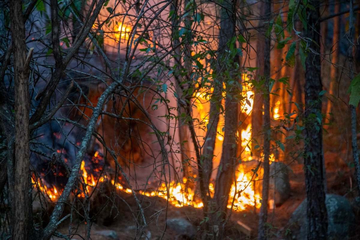 Incendios forestales. | Andrés Lobato