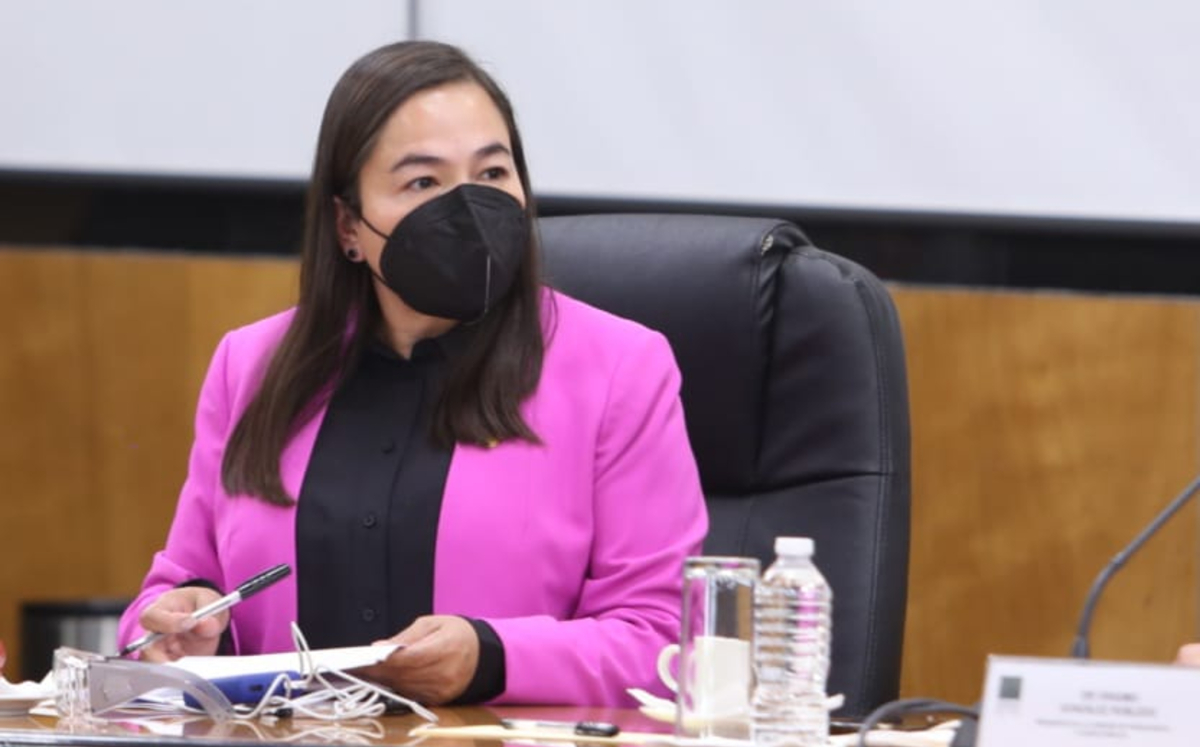 La legisladora Verónica Juárez criticó las declaraciones de Morena sobre el INE. (Grupo Parlamentario del PRD)