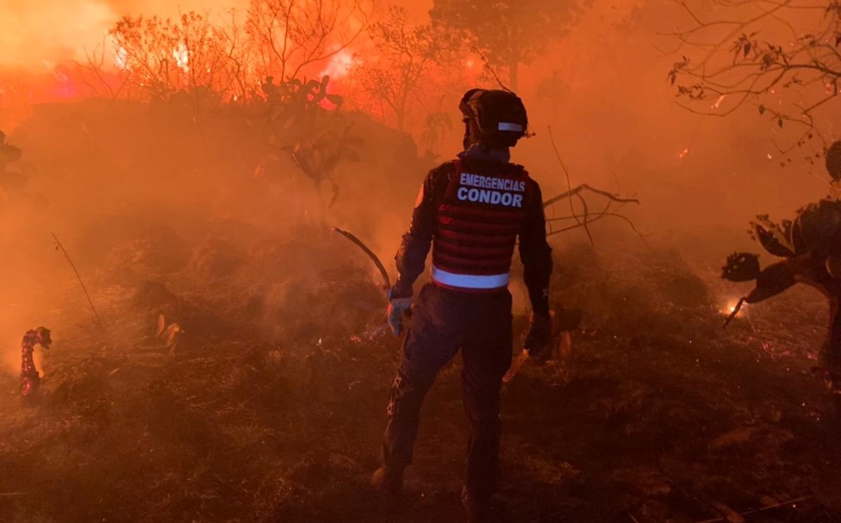 El incendio ocurrió en la Reserva Ecológica Pedregal. | Twitter @SGIRPC_CDMX