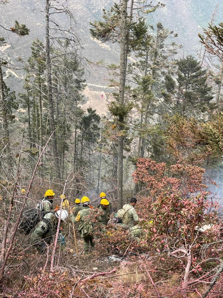 A los trabajos de combate del incendio activo en la Sierra de Arteaga, se sumaron los nuevos brigadistas este día. | Especial