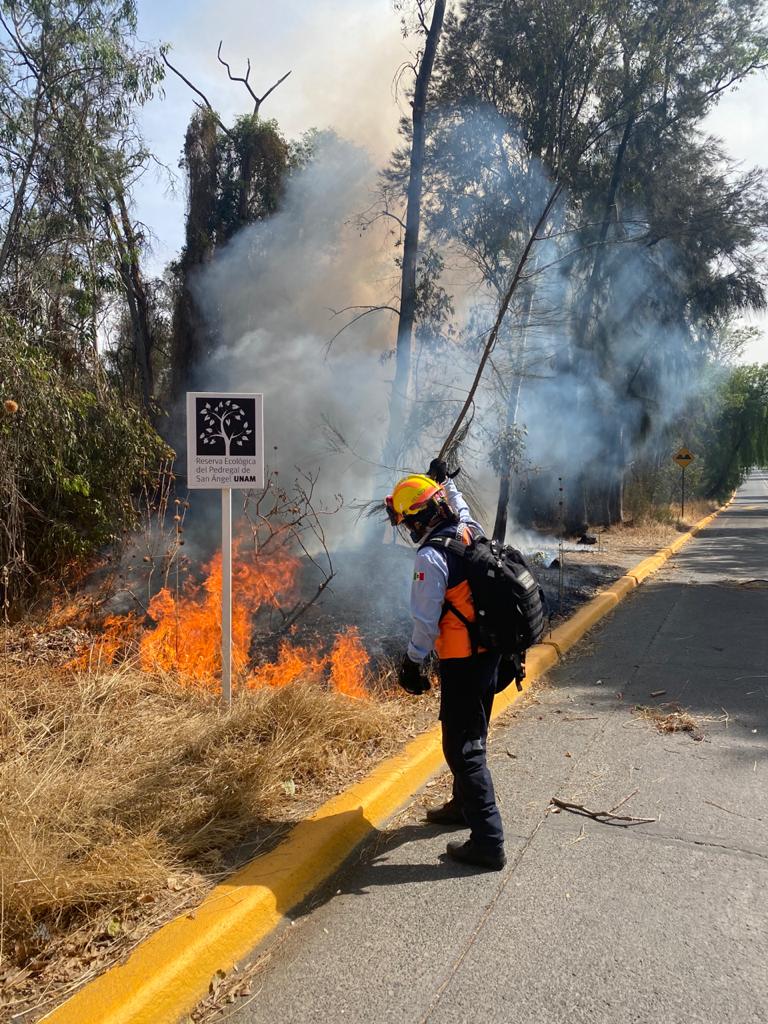 La Universidad realizará una denuncia penal contra quienes resulten responsables | Mariana Ulloa