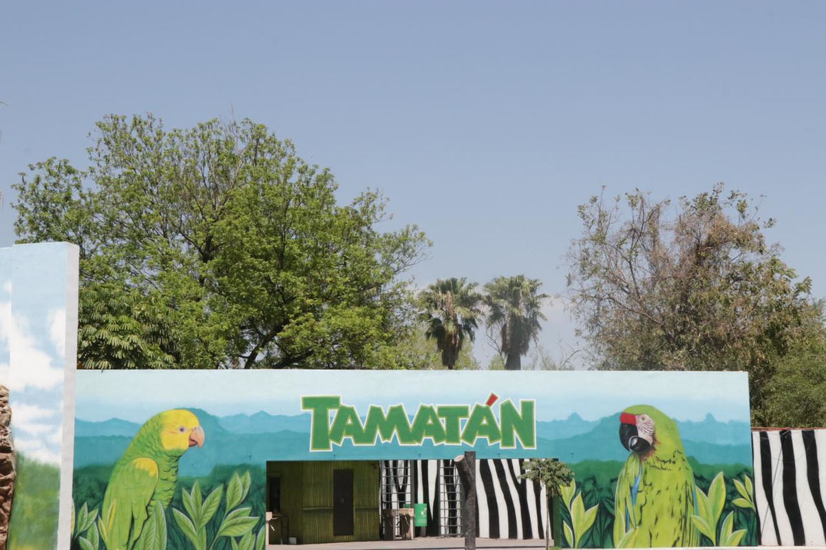 Dan al zoológico de Tamatán mantenimiento para recibir a las familias visitantes en la capital de Tamaulipas. (Antonio Hernández)