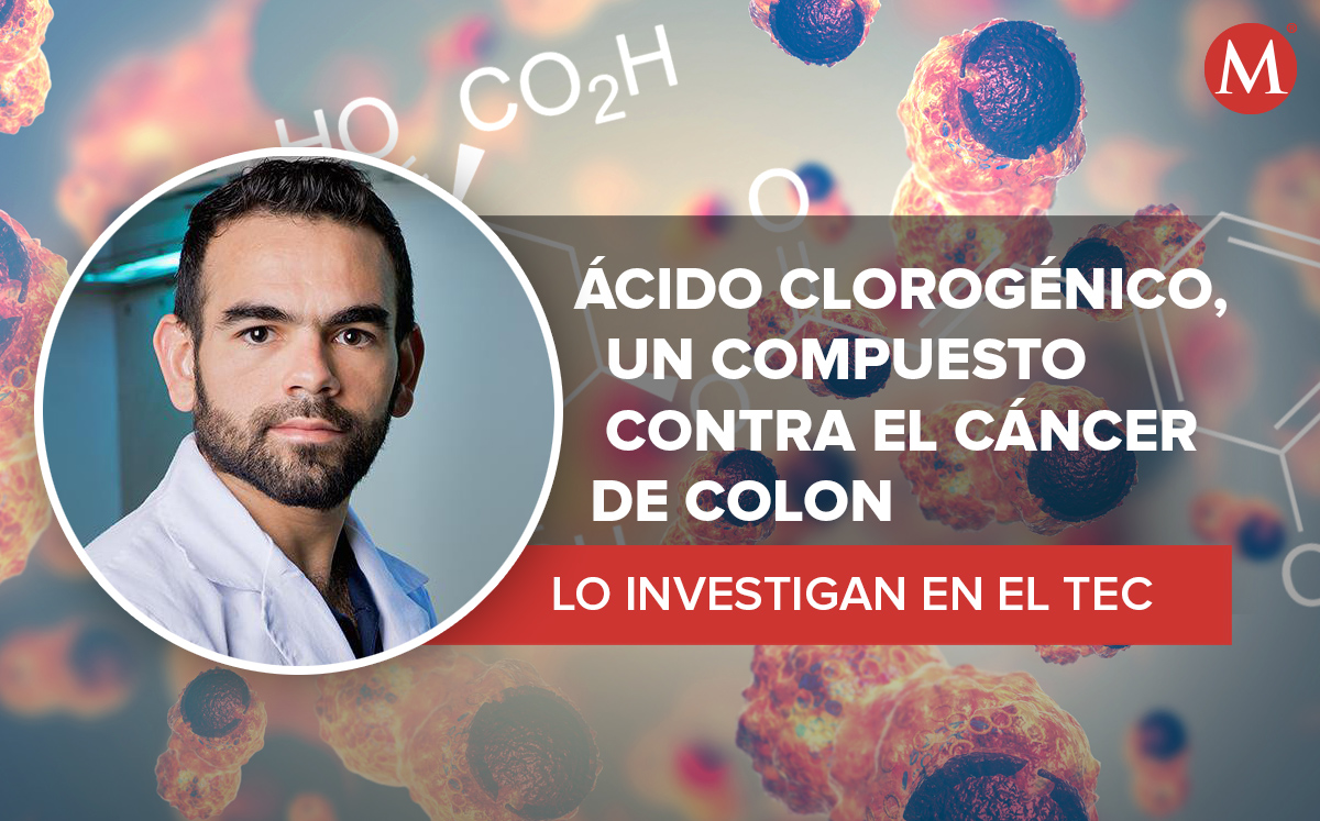 El ácido clorogénico puede ser útil contra el cáncer de colon | Especial