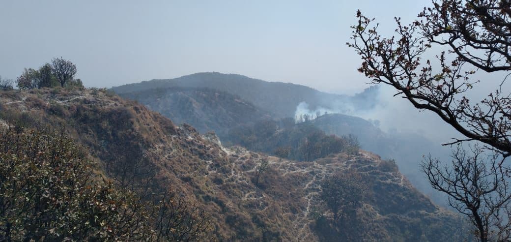 Incendio en bosque La Primavera, predio Las canoas (Twitter @SemadetJal)
