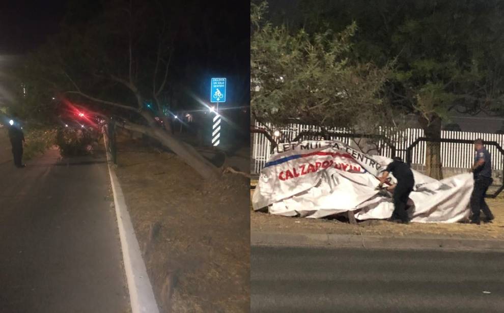 Vientos de más de 50 km/h en León derrumban arboles y lonas en la ciudad
