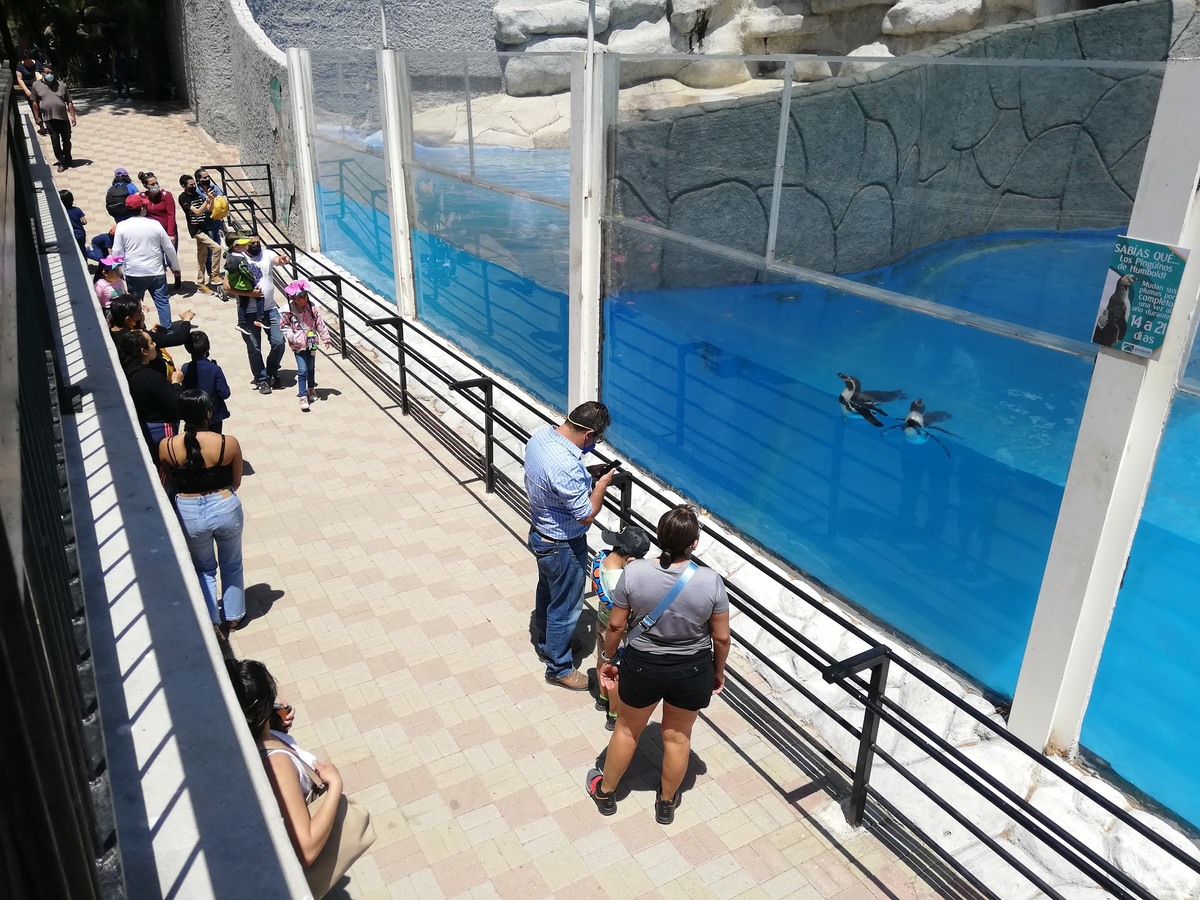 Zoo León