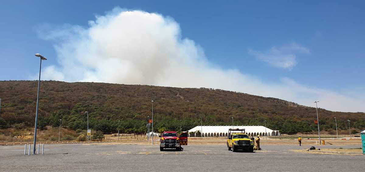 Combaten incendio en el bosque La Primavera (Roberto Hurtado)