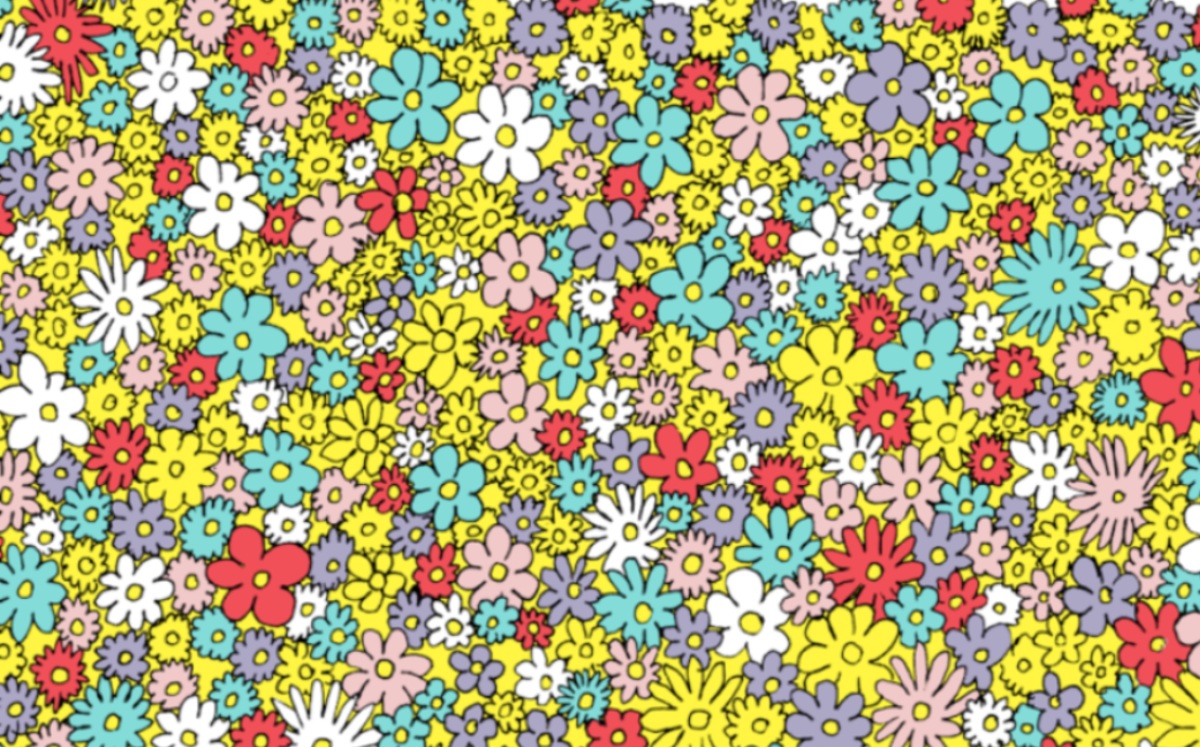 Encuentra a la abeja (Dudolf).