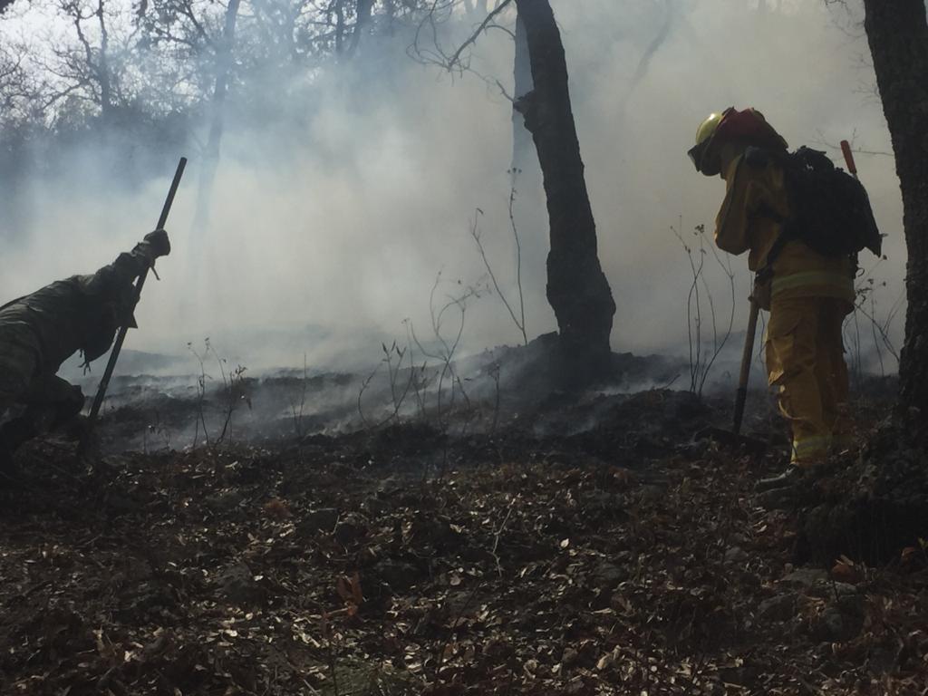 Extinguen totalmente Incendio forestal en el Cerro de Puruagua en Jerécuaro