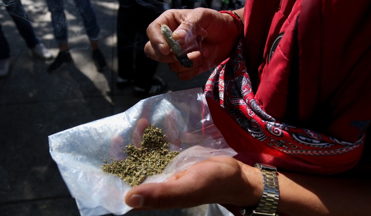 Comisión en Senado avala ley para regulación de mariguana. (Cuartoscuro)