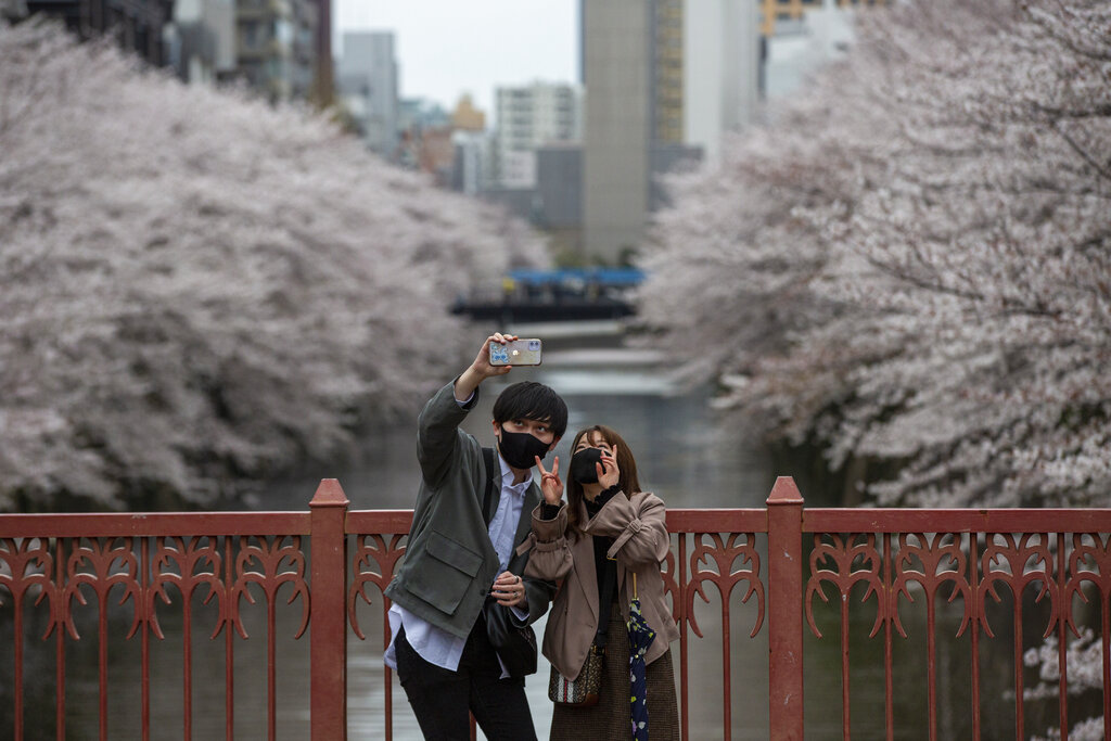 Los sakuras en Japón florecen entre finales de marzo e inicios de mayo, dependiedo de cada prefectura. (AP)