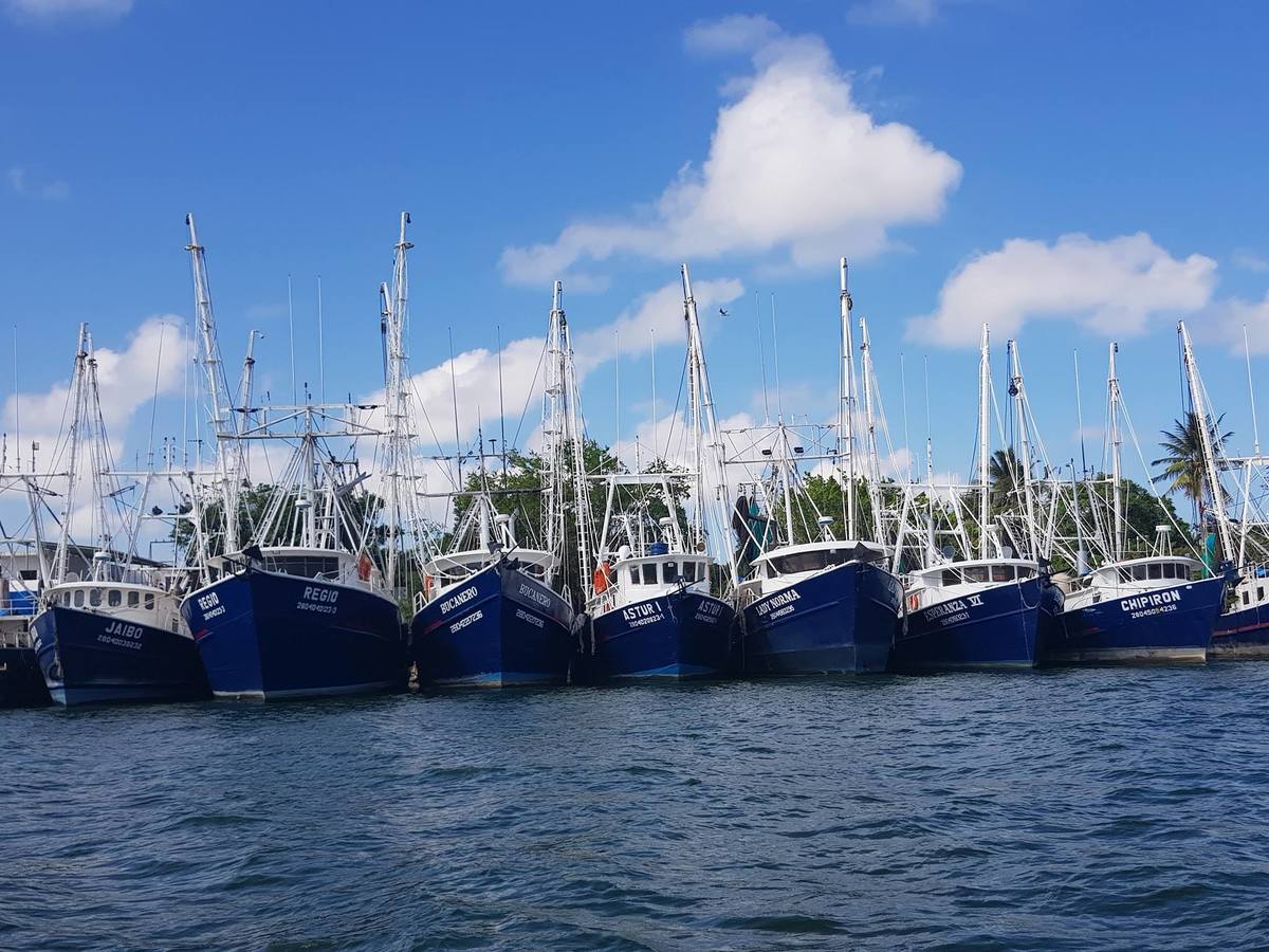 Flota camaronera instalada en Tampico, Tamaulipas.