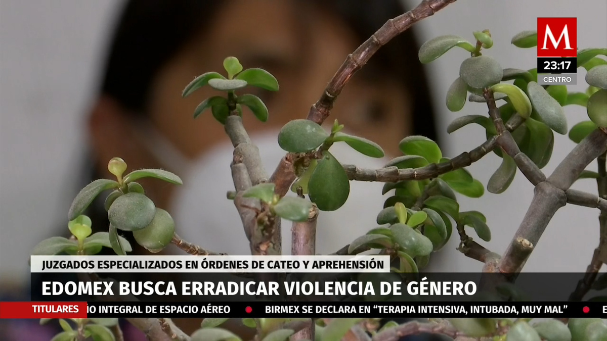 Abrirán juzgado en línea para medidas de protección a mujeres