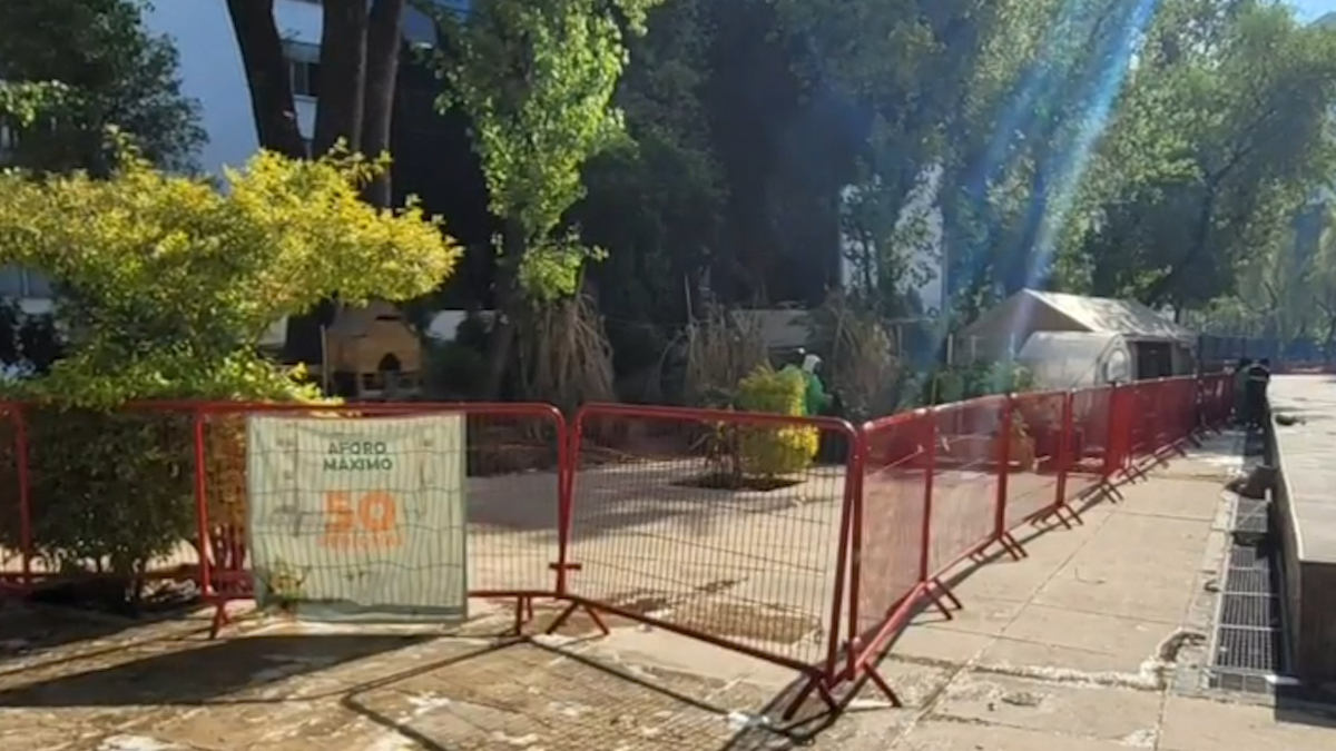 En CdMx, reducen campamento del movimiento cannábico
