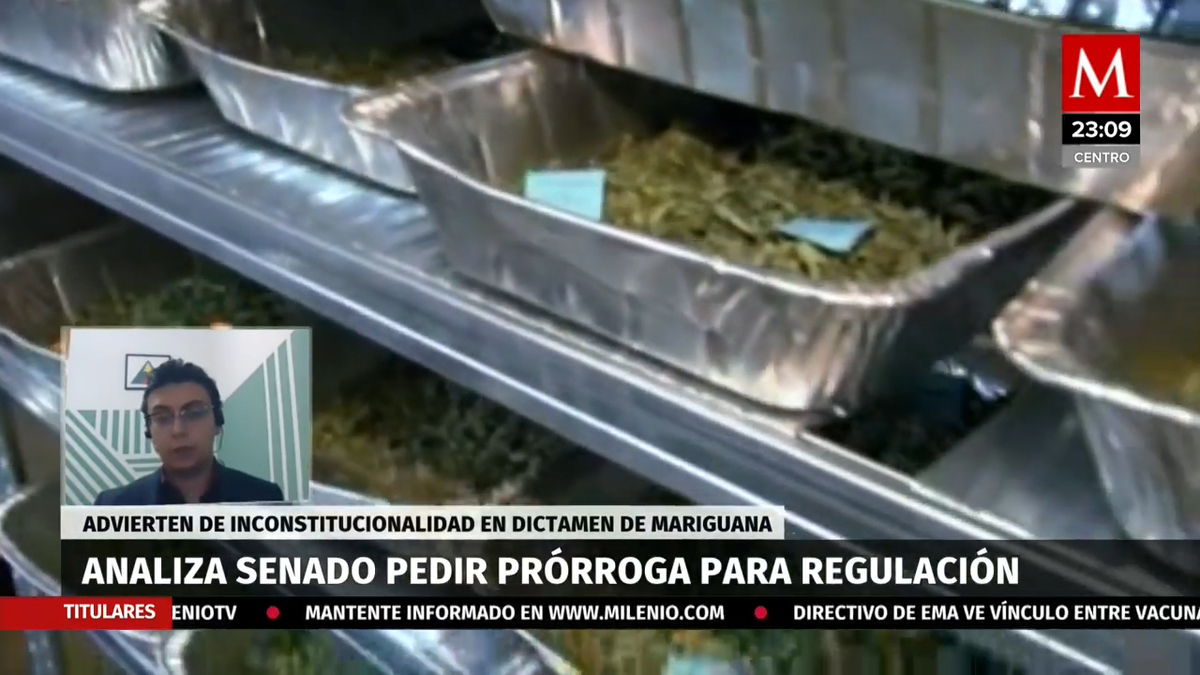 Entrevista, Julio Salazar, abogado de México Unido Contra la Delincuencia. Regulación de Cannabis