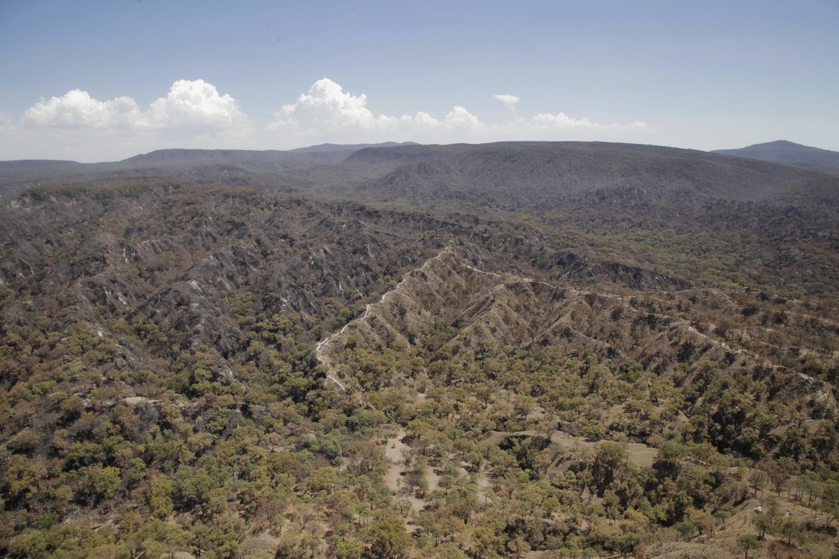 el incendio se suscitó sobre maleza que se encontraba un costado de un predio vecino del Cerro del 18. (Especial)