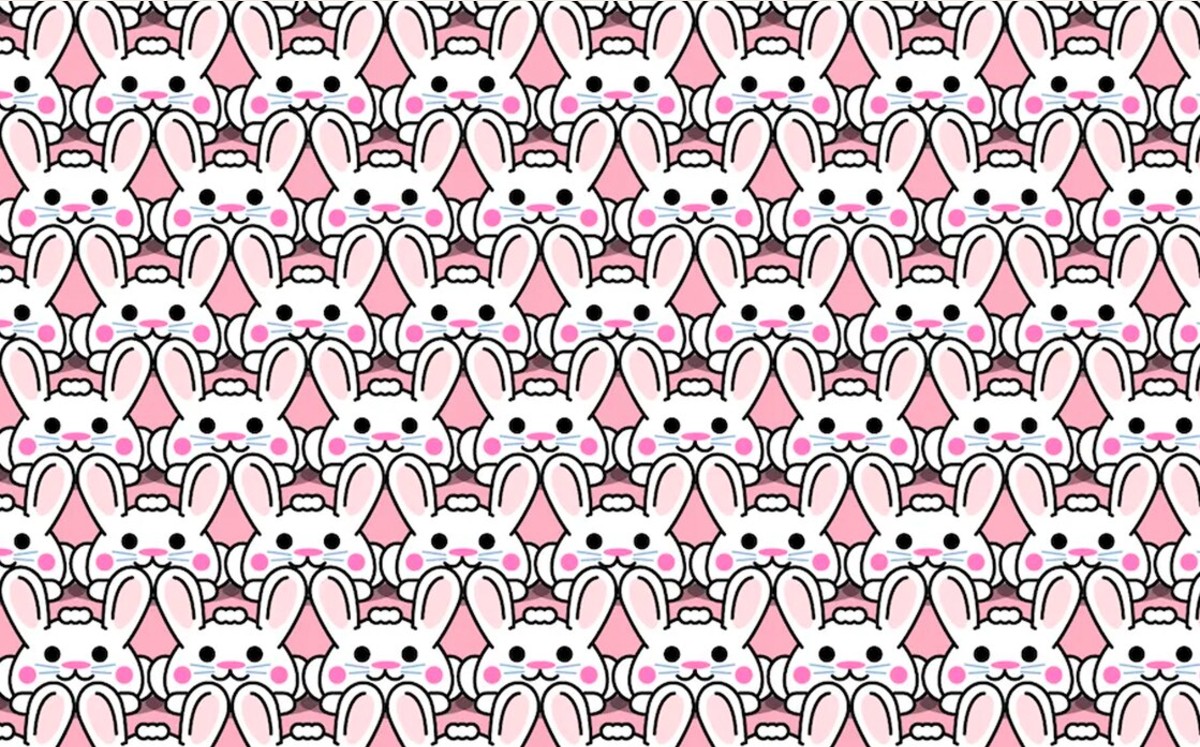 Reto visual: encuentra los cuatro conejos con peinado diferente