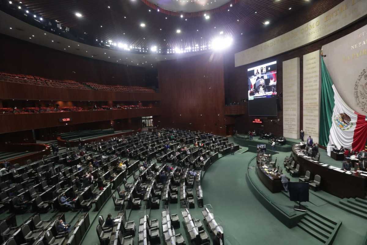 Sesión de la Cámara de Diputados. (Especial)