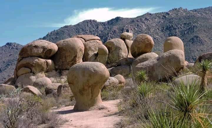Sierra del Sarnoso en Durango. (Especial)