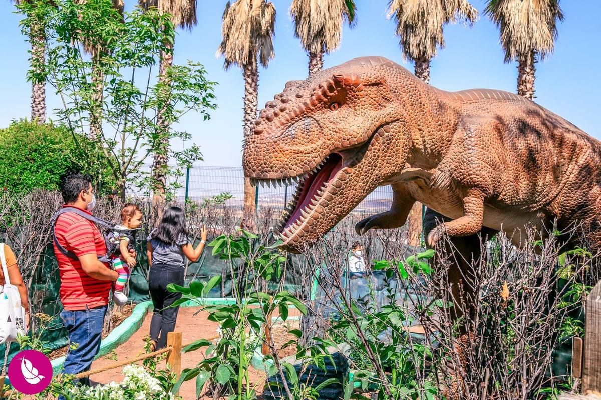 Dinosaurios