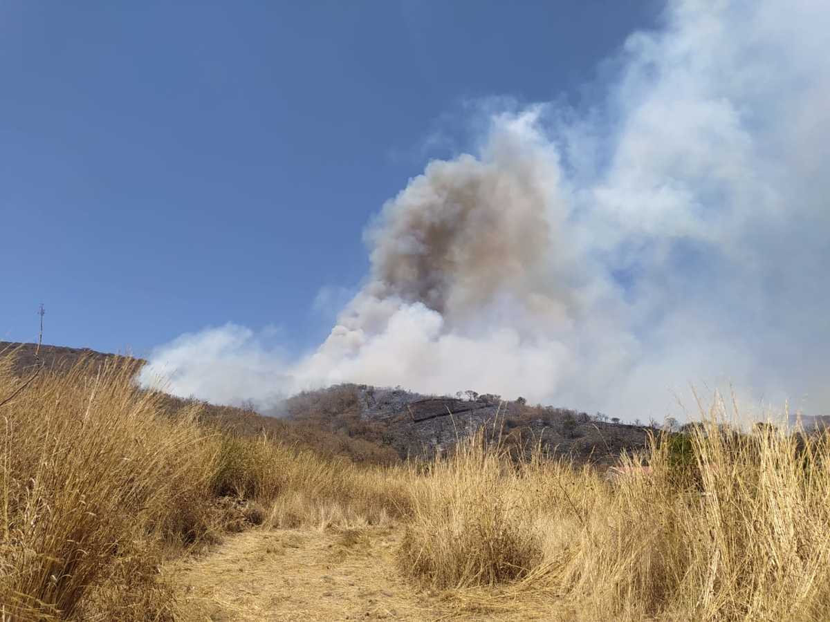 Incendio forestal en cerro de Tlajomulco (Diana Barajas)