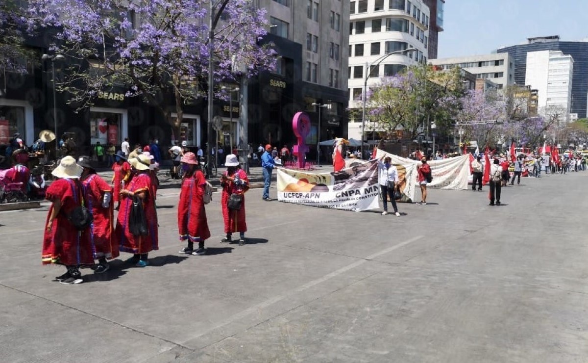 Activistas marchan a favor de la comunidad Triqui. | Jorge Becerril