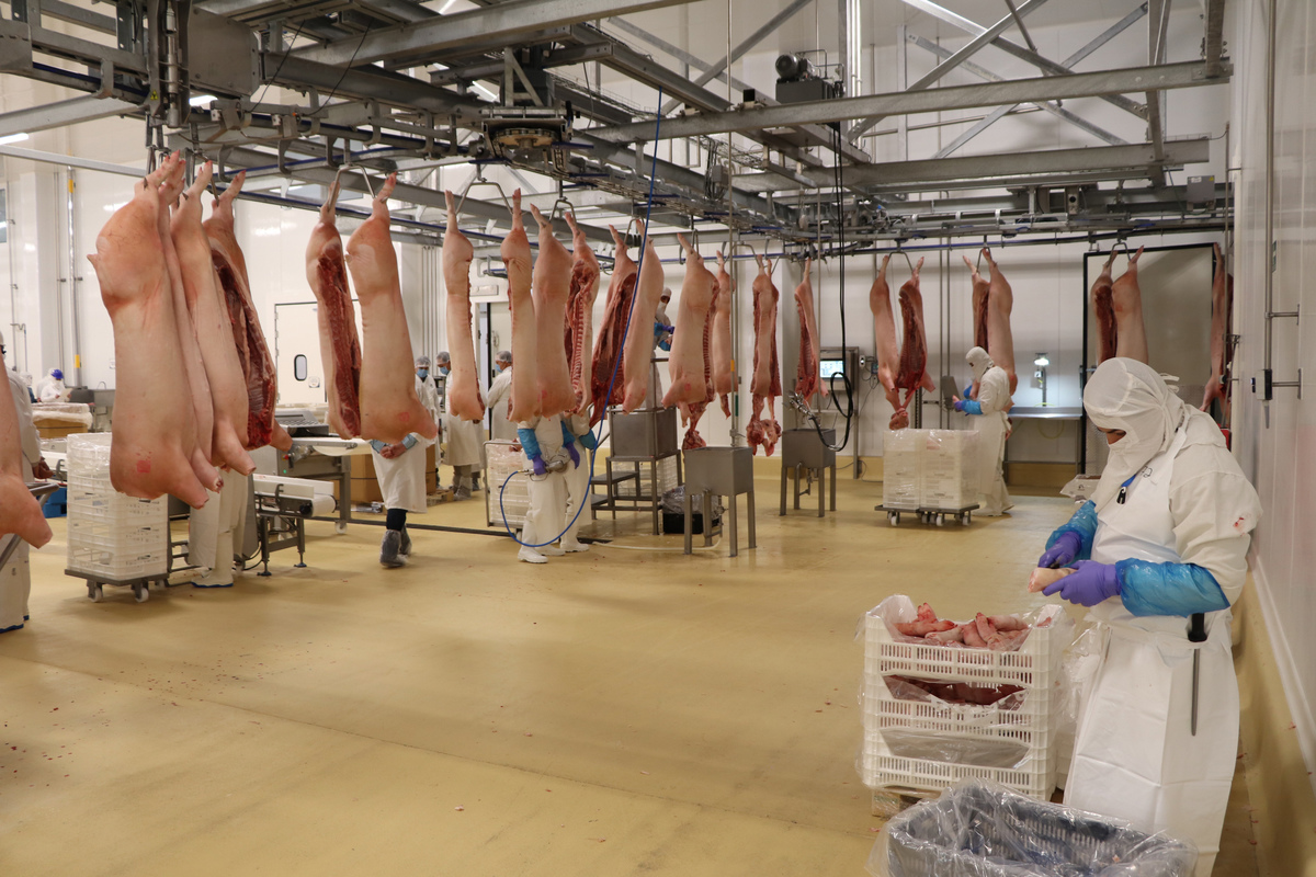 Manejo de productos cárnicos en planta con certificación TIF.