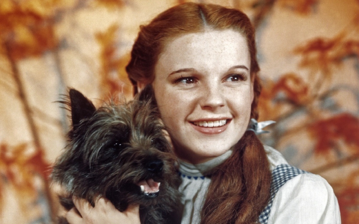 Judy Garland, como el personaje de Dorothy Gale en "El mago de Oz". Foto: Getty Images
