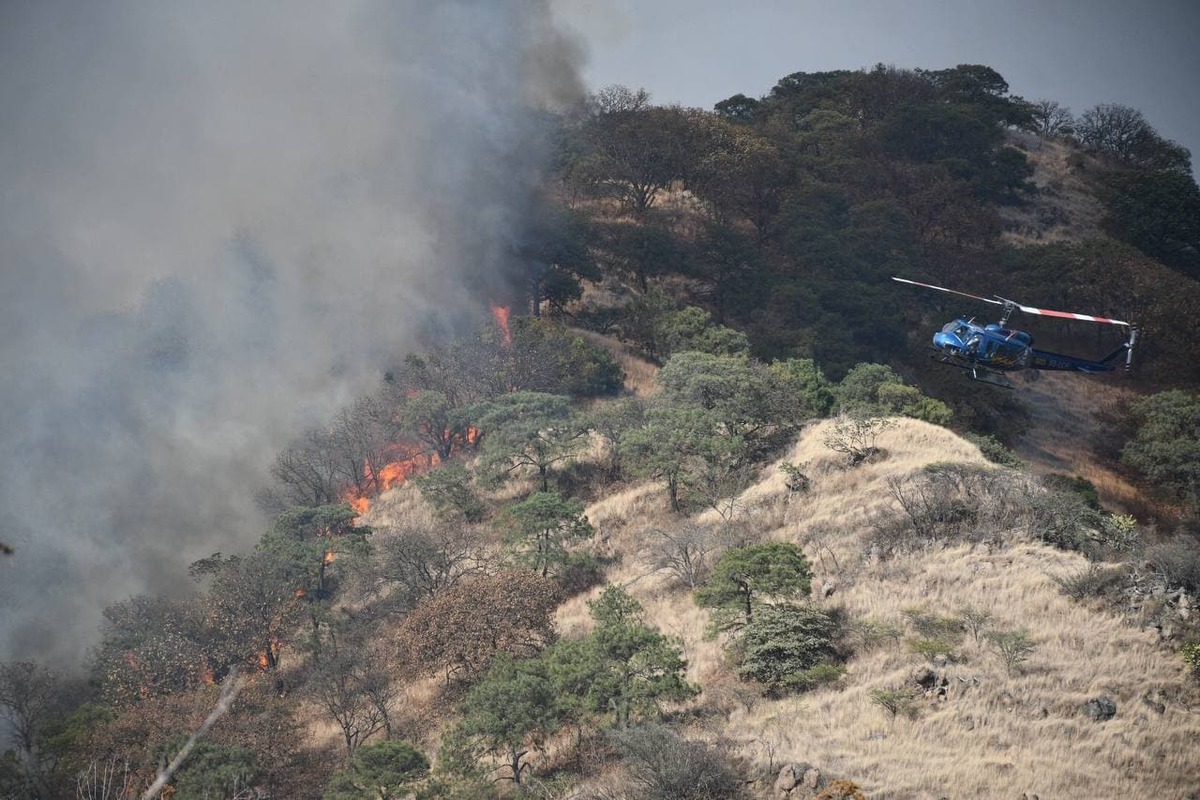 Bosque La Primavera sufre de otro incendio (Cortesía)