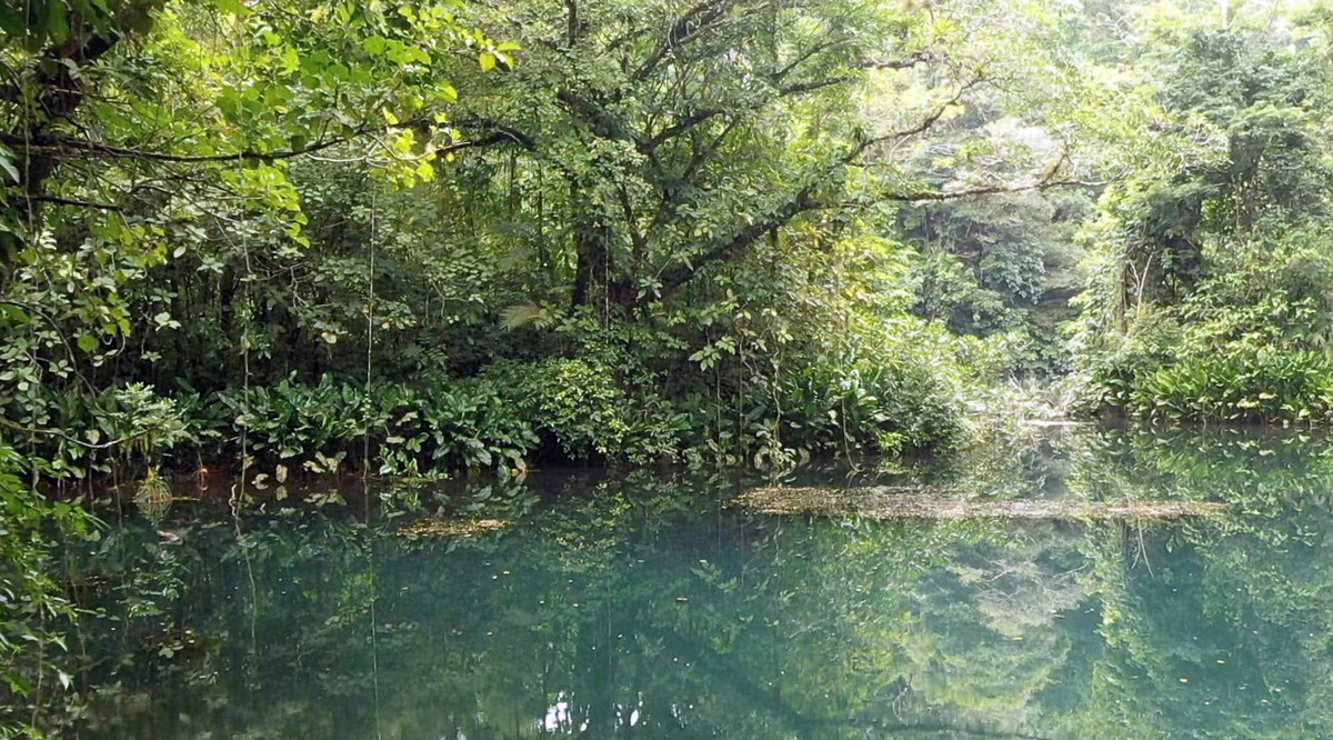 Fotograma de cortometraje Naturaleza UNAM (Cortesía)