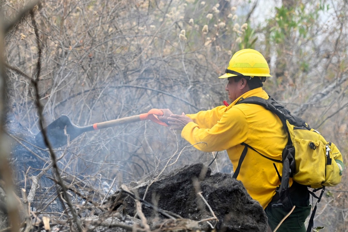 Trabajan elementos de diferentes corporaciones para sofocar el incendio. (Especial)