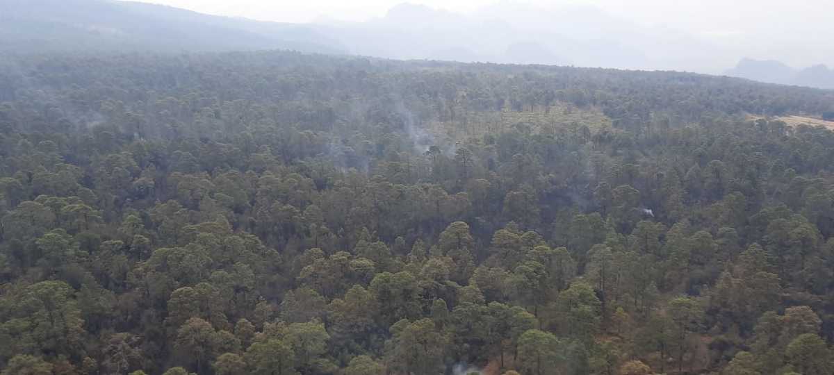 Durante el primer día de combate, se reportaron al menos 11 brigadistas intoxicados por inhalación de monóxido de carbono | @CONAFOR