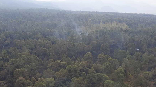 Conafor reporta que se ha controlado al 100% el incendio en Tepoztlán