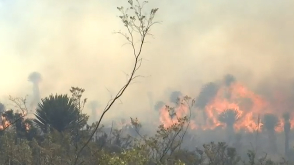 En Coahuila controlan incendio en un 95%