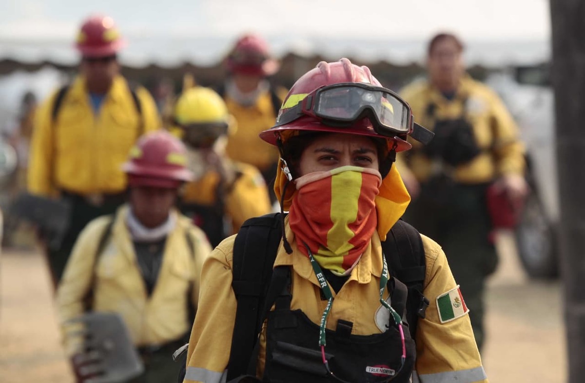 Fueron 458 brigadistas los que combatieron el fuego. (Especial)