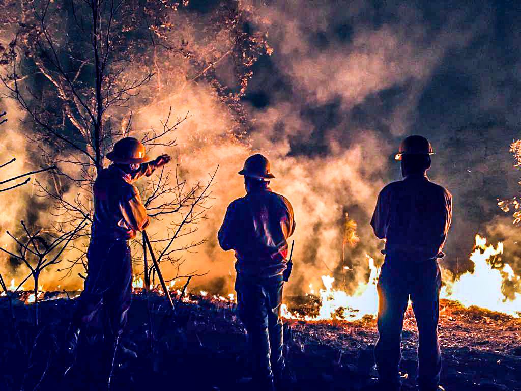 Actualmente Oaxaca es de los 10 estado en el país con el mayor daño provocado por los incendios forestales | @Aaron_Juarez