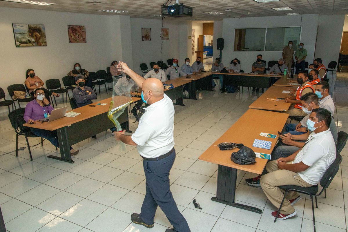 Talleres hacia pescadores de Tamaulipas para proteger tortugas marinas.