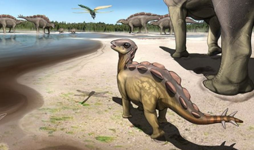Descubren huellas de dinosaurio del tamaño de un gato (dpa)