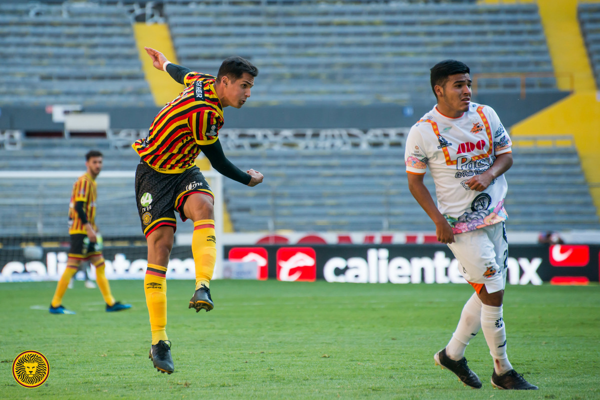 Leones Negros tiene su peor torneo (Twitter @LeonesNegrosCF)