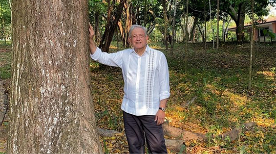 AMLO propondrá a Biden ampliar programa Sembrando Vida a Centroamérica