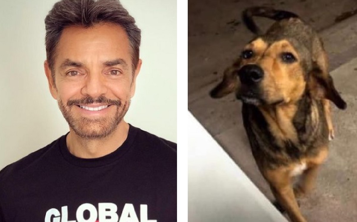 Derbez le pidió al gobernador de Sinaloa que este asesinato no quede impune. (Instagram/Twitter)