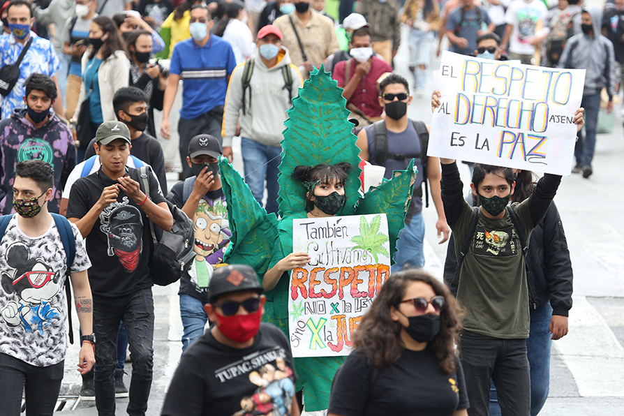 Han realizado diversas marchas a manera de protesta en donde fuman marihuana para exigir su pronta legalización. | Ariel Ojeda