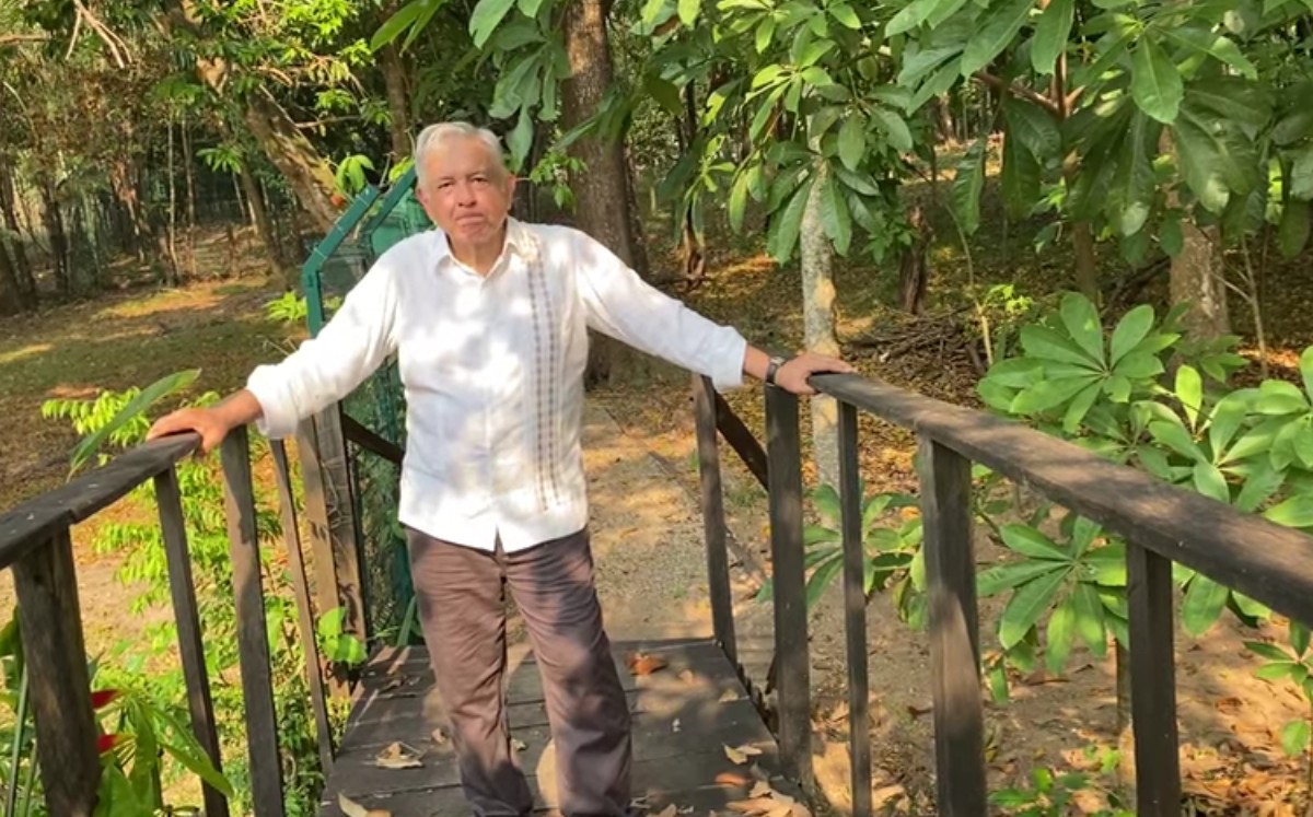 López Obrador busca que Sembrando Vida llegue a Centroamerica para ayudar al medio ambiente y frenar la migración. | Captura