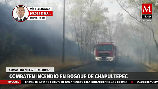 Reportan incendio en Bosque de Chapultepec; no hay lesionados