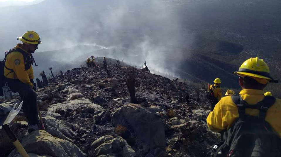 Conafor reporta 91 incendios forestales activos en 17 estados